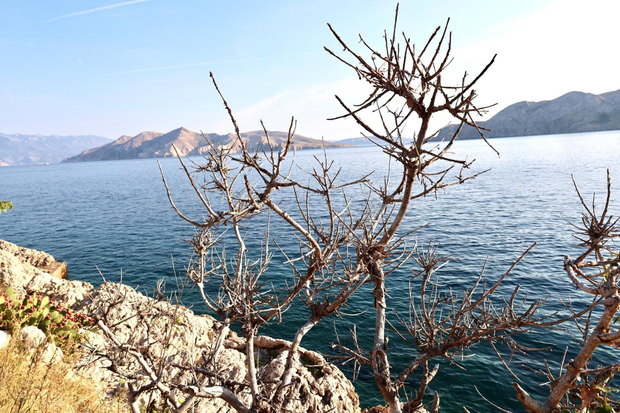 Villa Perla Baska Dış mekan fotoğraf